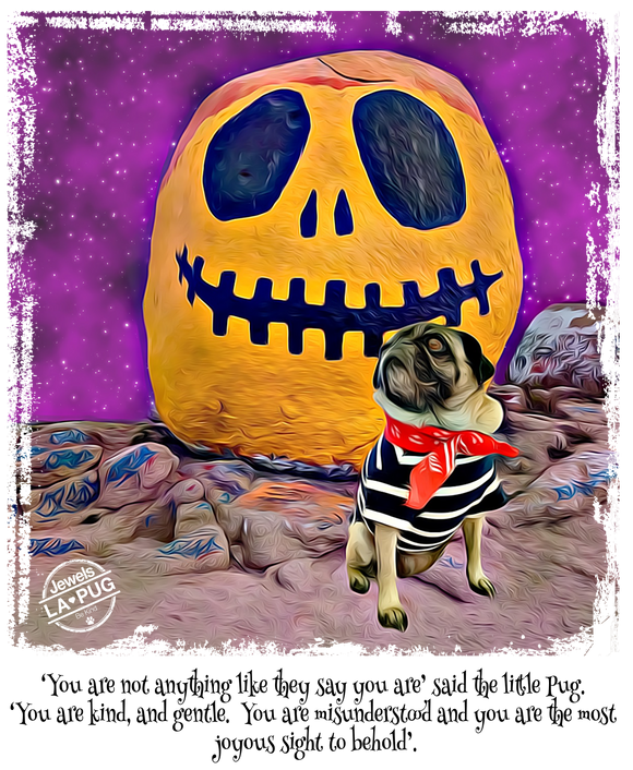 THE PUG & THE PUMPKIN