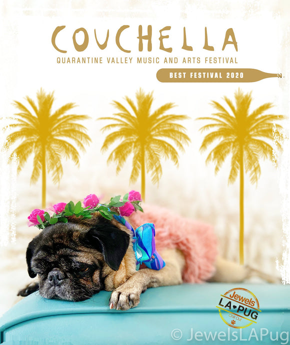 COUCHELLA 2020