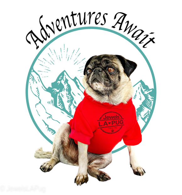 ADVENTURES AWAIT (Apparel)